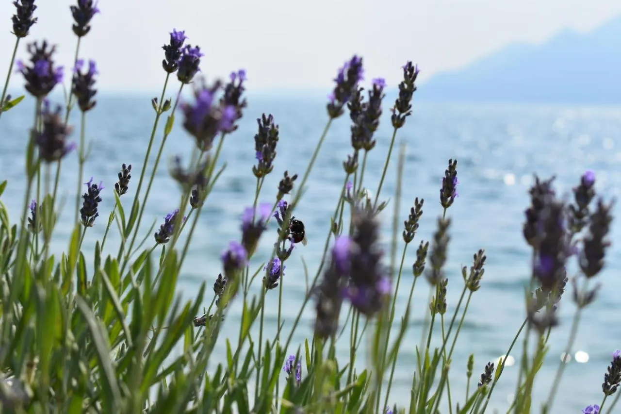 Hotel La Fiorita Limone sul Garda